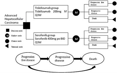 Tislelizumab versus sorafenib as first-line treatment for advanced hepatocellular carcinoma in China: a cost-effectiveness analysis